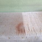 Curățarea interiorului auto în Oradea: Servicii profesionale vs. DIY